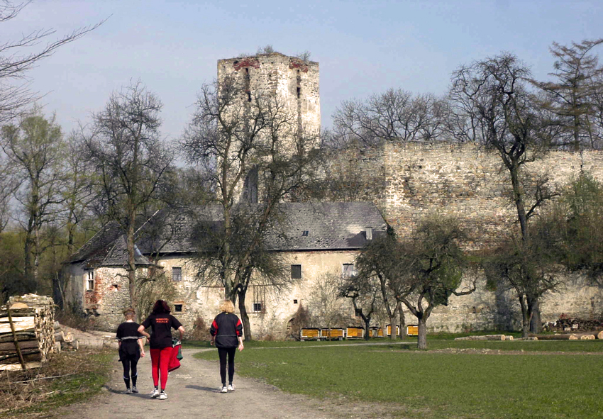 Burgruine Spilberg